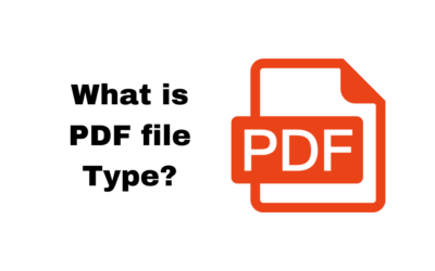 What is a PDF file